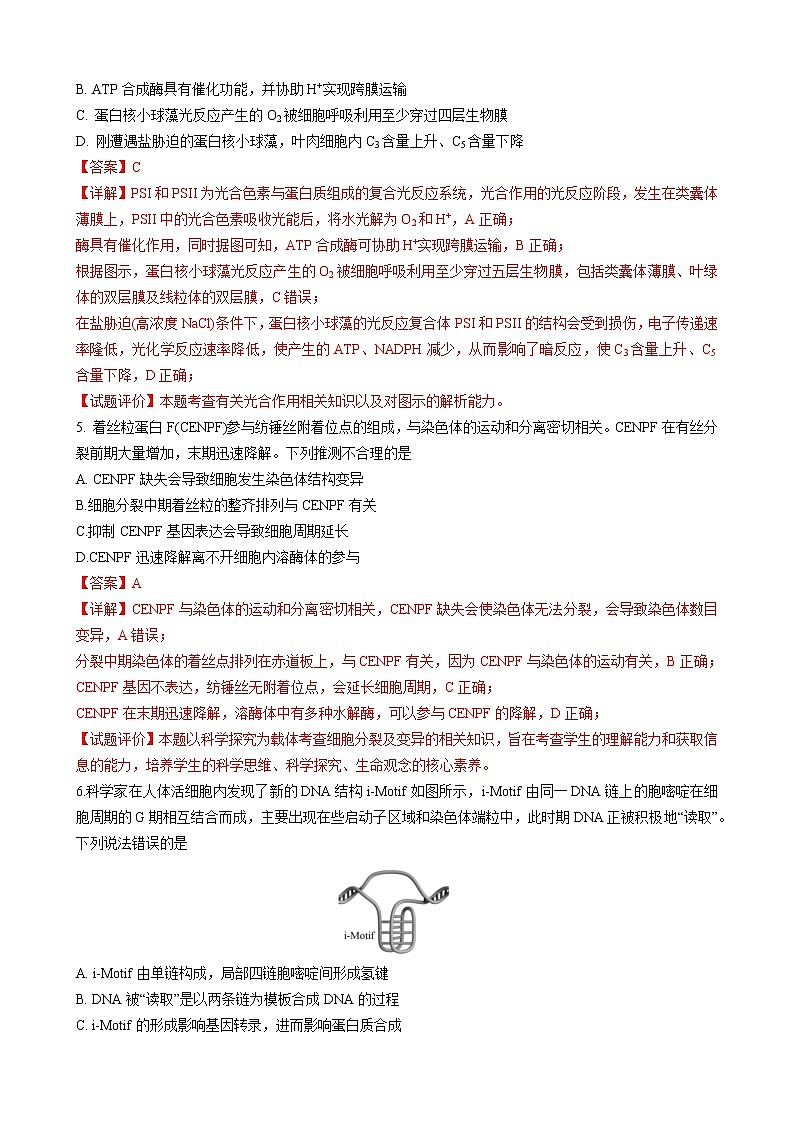 2021届山东省临沂市高三一模生物试题 解析版03