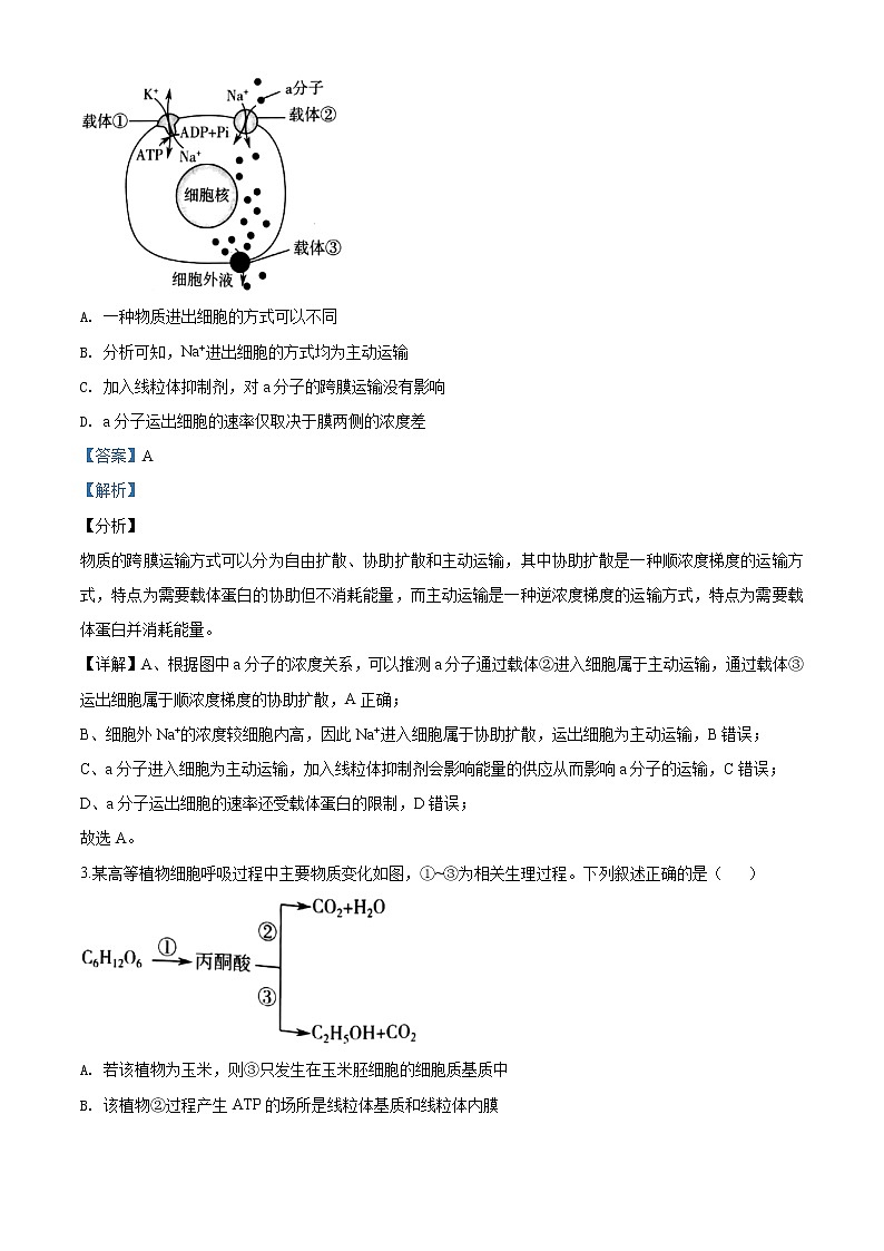 2020届山东省临沂市高三一模理综生物试题（解析版）02