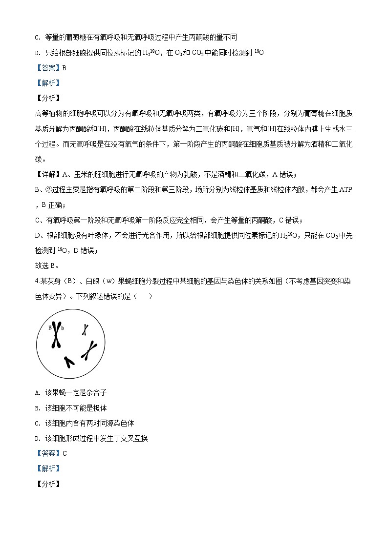 2020届山东省临沂市高三一模理综生物试题（解析版）03