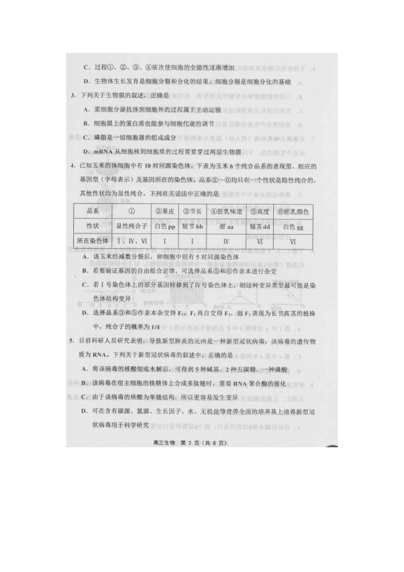 天津市河东区2020届高三质量调查一模生物试卷02