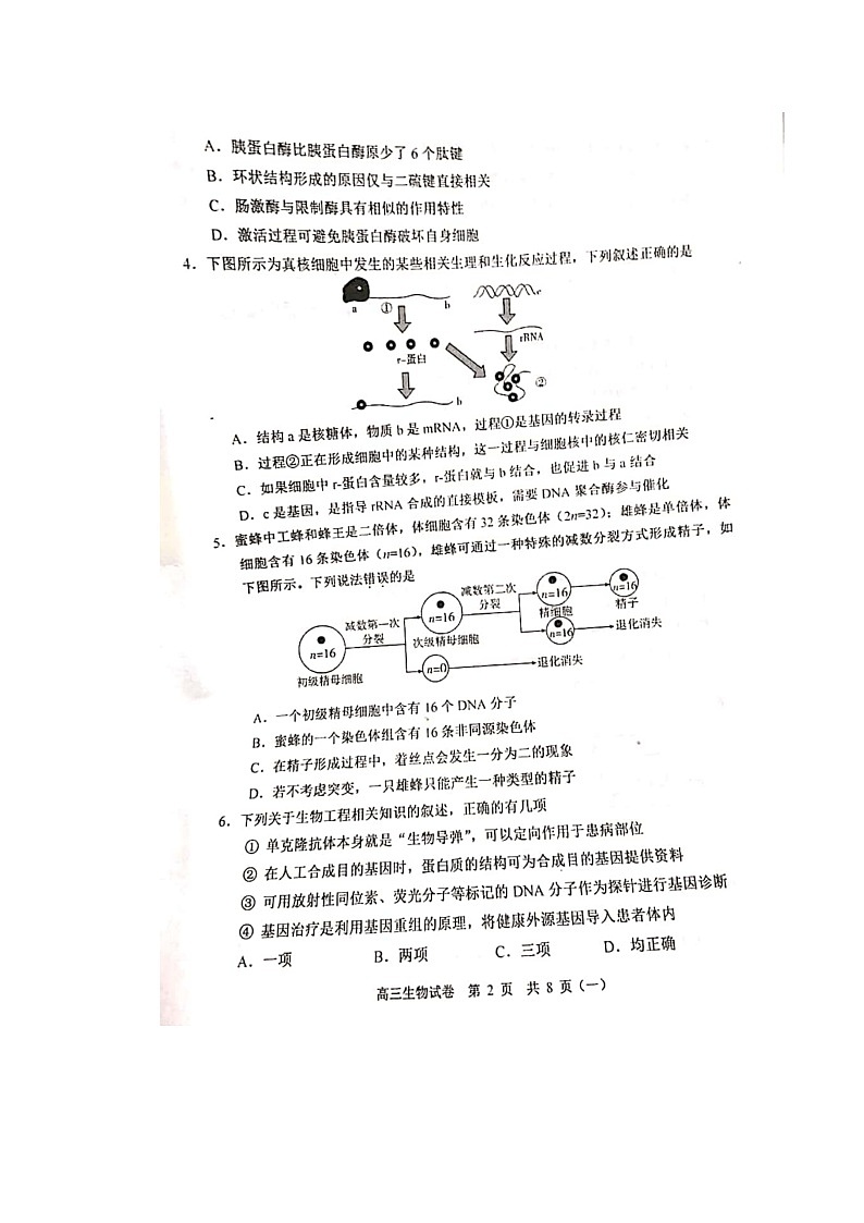天津市河西区2020届高三一模生物试卷第2页
