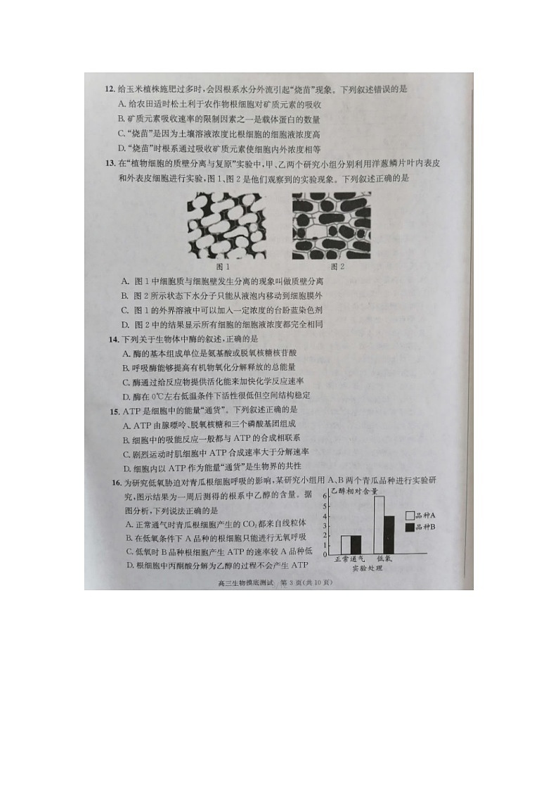 四川省广元市2020届新高三一模考试生物试卷第3页