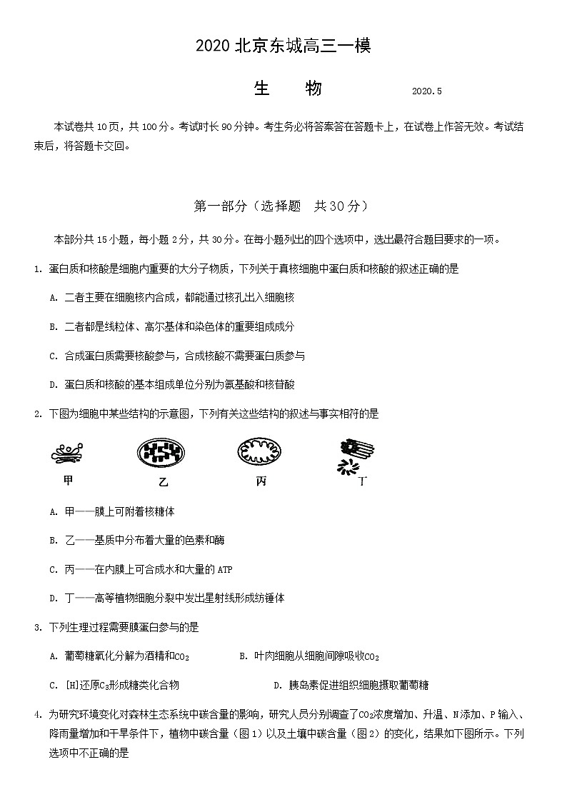 北京市东城区2020届高三一模1卷生物试题01