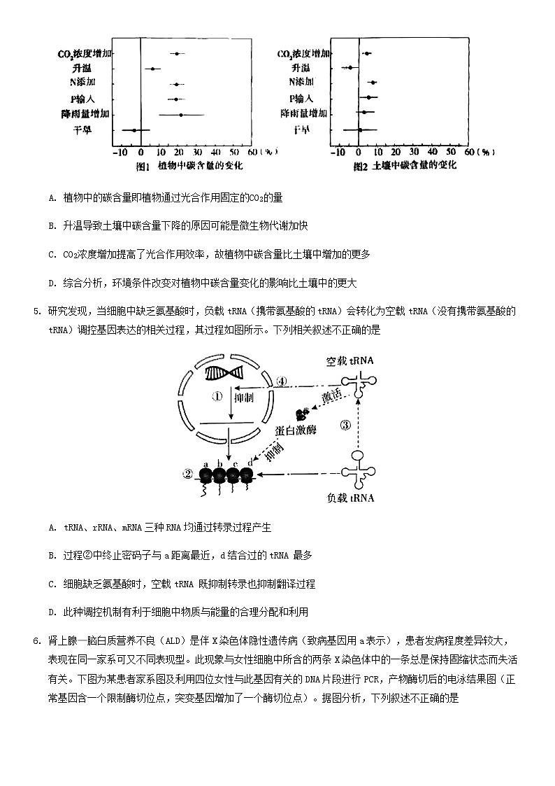 北京市东城区2020届高三一模1卷生物试题02