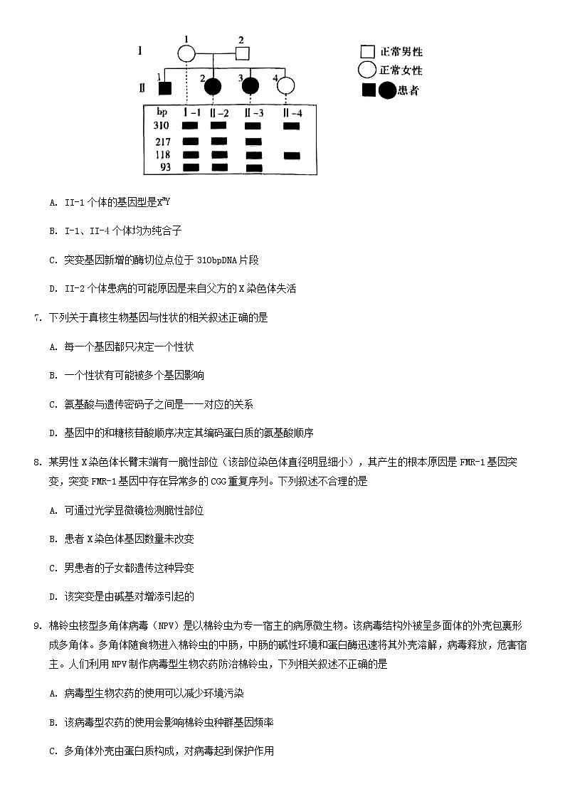 北京市东城区2020届高三一模1卷生物试题03