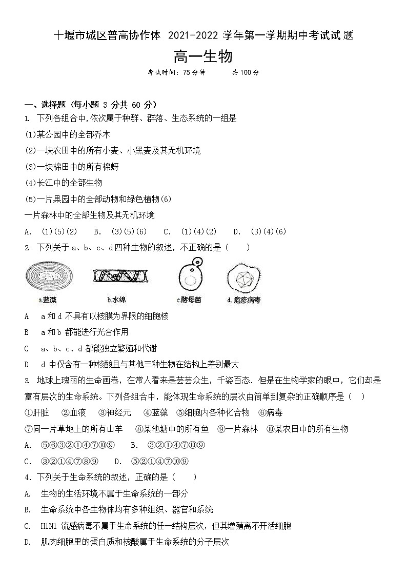 湖北省十堰市城区普高协作体2021-2022学年高一上学期期中考试生物试题含答案01