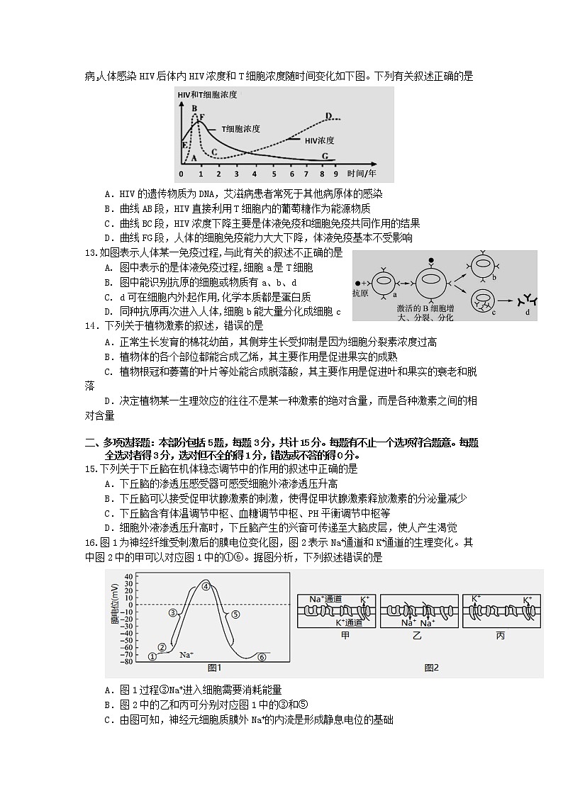 江苏省高邮市2021-2022学年高二上学期期中学情调研生物试卷含答案03