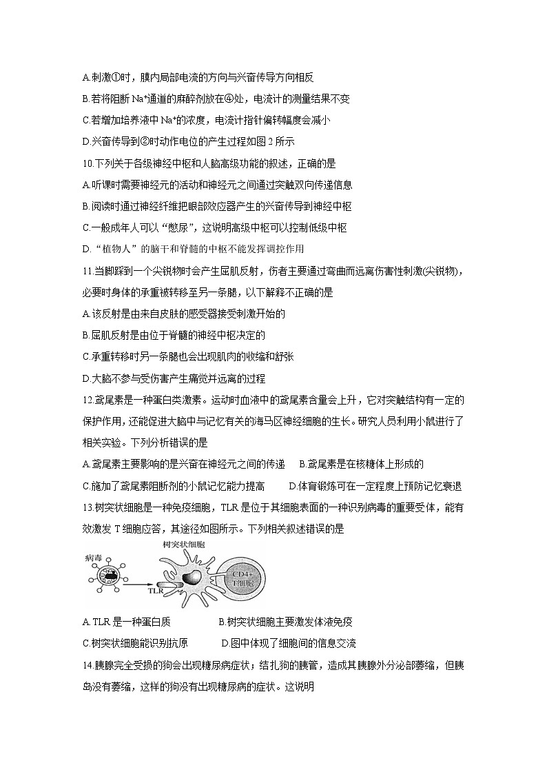 湖北省孝感市2021-2022学年高二上学期期中联考生物含答案 试卷03