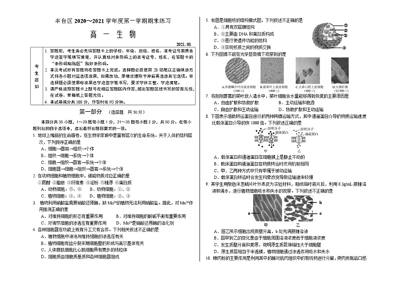 北京丰台区2020～2021学年度第一学期期末练习高一生物试卷第1页