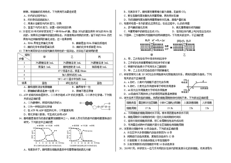 北京丰台区2020～2021学年度第一学期期末练习高一生物试卷第2页