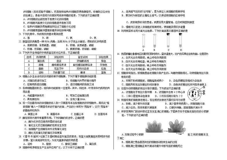 北京丰台区2020～2021学年度第一学期期末练习高一生物试卷第3页