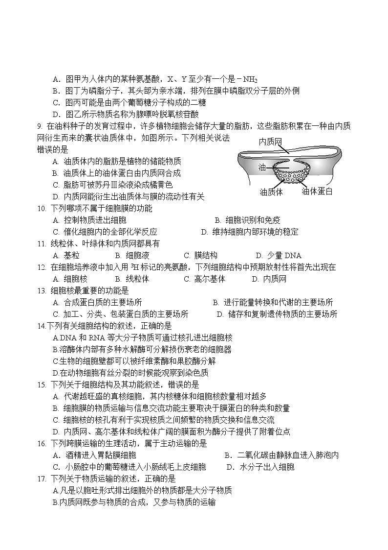 2020-2021学年广东省韶关市田家炳中学高一上学期期末考试生物试卷（Word版含答案）02