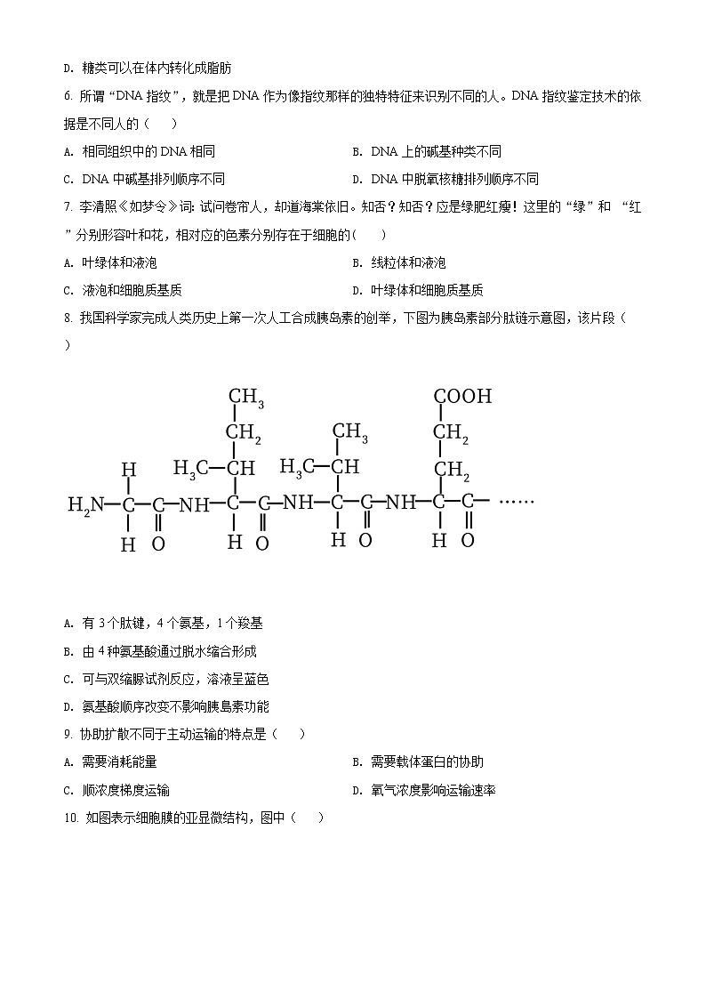 2020-2021学年广东省深圳市宝安区高一上学期期末生物试题（Word版含答案）02