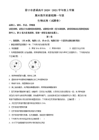 辽宁省营口市2020-2021学年高一上学期期末生物试题 含答案