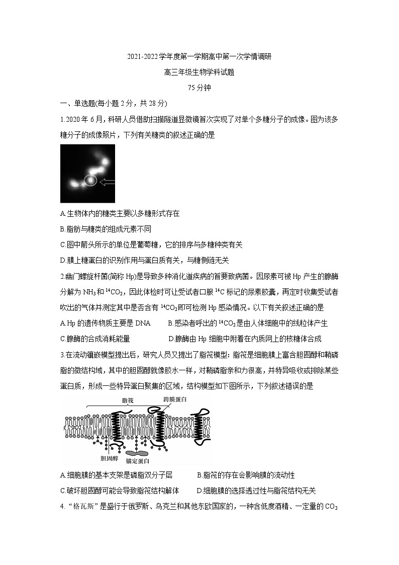 江苏省徐州市沛县2022届高三上学期第一次学情调研生物含答案第1页