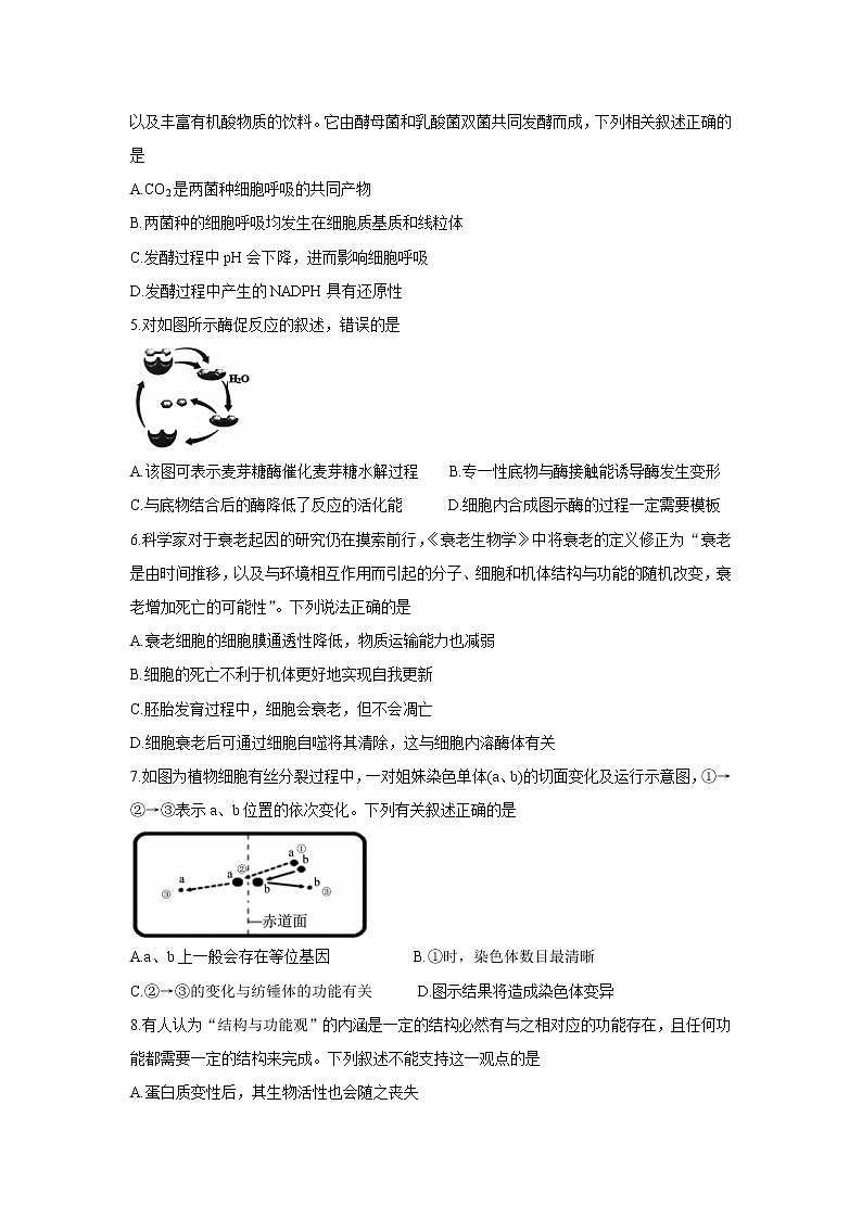 江苏省徐州市沛县2022届高三上学期第一次学情调研生物含答案第2页