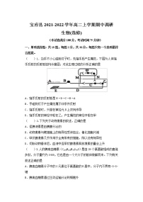 江苏省扬州市宝应县2021-2022学年高二上学期期中调研（11月）生物试题含答案