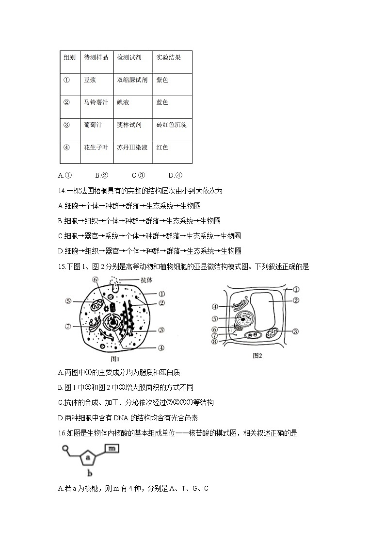江苏省扬州市宝应县2021-2022学年高一上学期期中检测生物含答案03