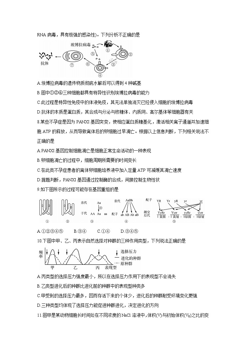 湖南省五市十校教研教改共同体2022届高三上学期第二次大联考（12月）生物含答案 试卷03