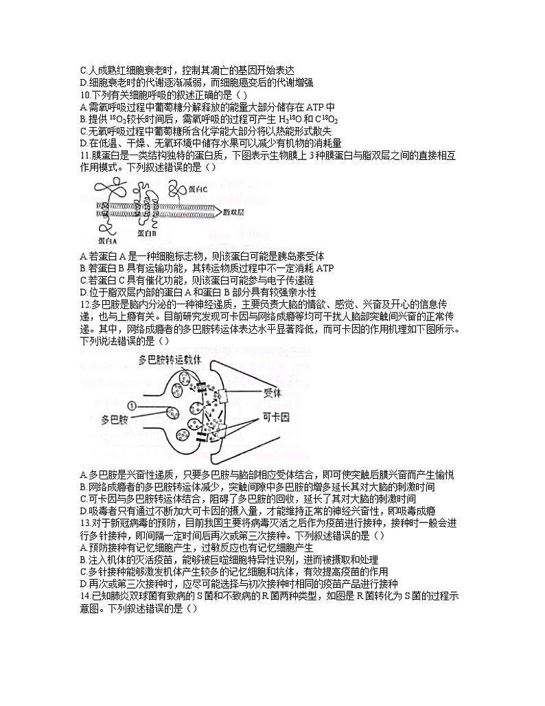 浙江省宁波市慈溪2022届高三上学期12月适应性考试生物试题含答案02