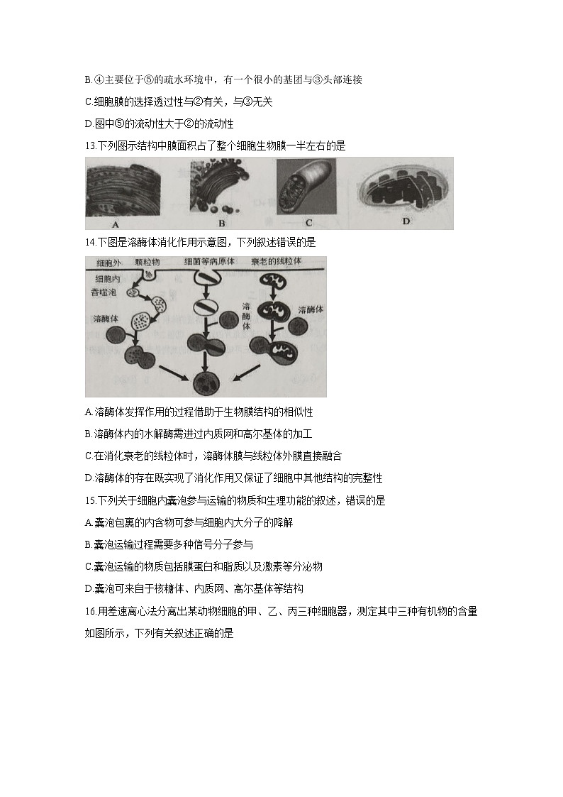 浙江省“七彩阳光”新高考研究联盟2021-2022学年高一上学期11月期中联考生物含答案第3页