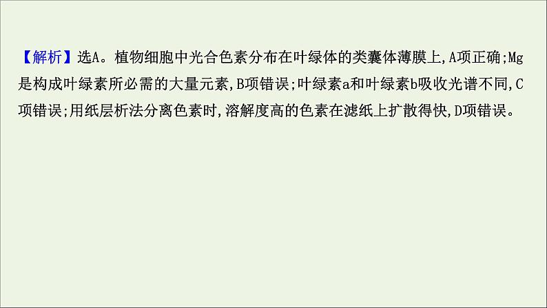 江苏专用2022版高考生物一轮复习课时作业九光合作用探究历程及基本过程课件苏教版第3页