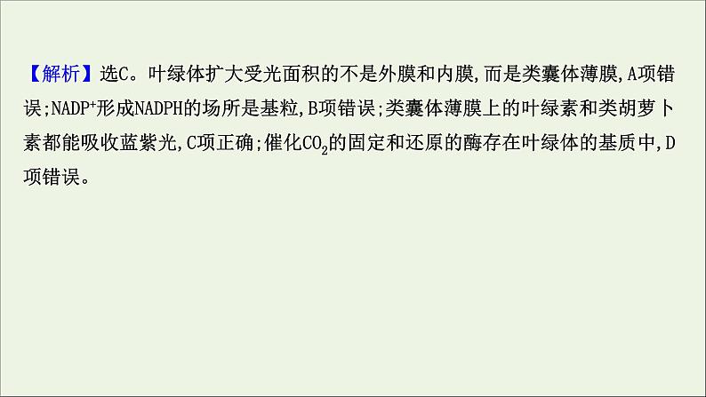 江苏专用2022版高考生物一轮复习课时作业九光合作用探究历程及基本过程课件苏教版第7页