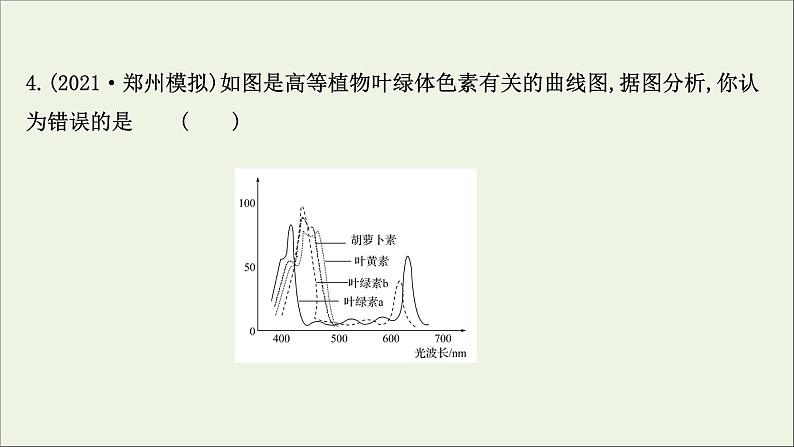 江苏专用2022版高考生物一轮复习课时作业九光合作用探究历程及基本过程课件苏教版第8页