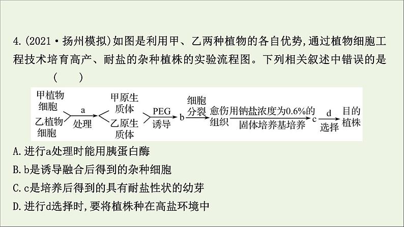 江苏专用2022版高考生物一轮复习课时作业三十七植物细胞工程课件苏教版08