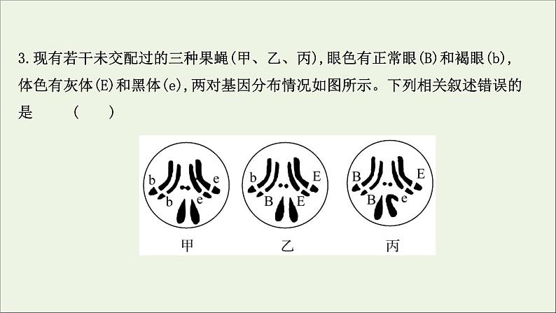 江苏专用2022版高考生物一轮复习课时作业十五基因的自由组合定律课件苏教版第6页