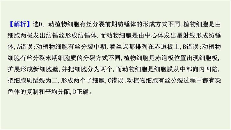 江苏专用2022版高考生物一轮复习课时作业十一细胞的有丝分裂课件苏教版第3页