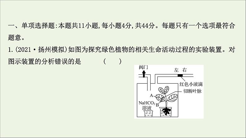 江苏专用2022版高考生物一轮复习课时作业十影响光合作用的因素及光合作用及细胞呼吸的关系课件苏教版02