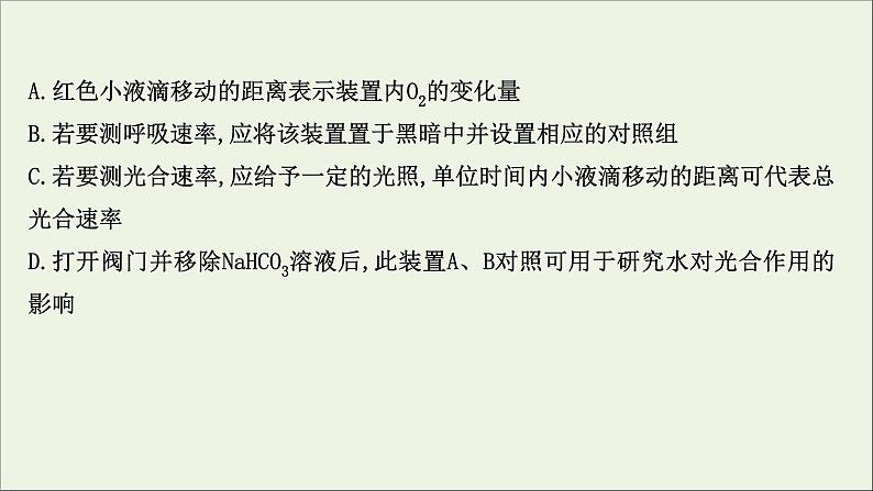 江苏专用2022版高考生物一轮复习课时作业十影响光合作用的因素及光合作用及细胞呼吸的关系课件苏教版03