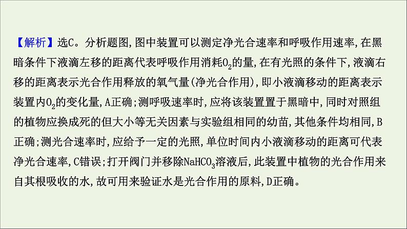 江苏专用2022版高考生物一轮复习课时作业十影响光合作用的因素及光合作用及细胞呼吸的关系课件苏教版04