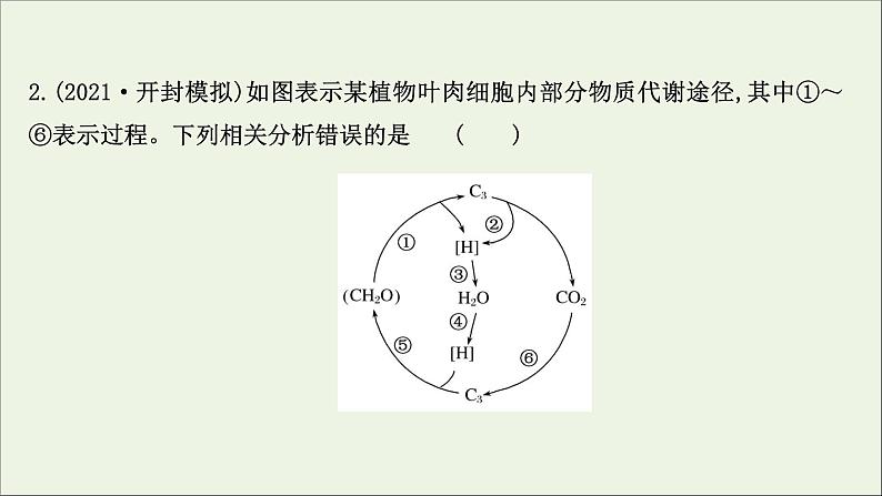 江苏专用2022版高考生物一轮复习课时作业十影响光合作用的因素及光合作用及细胞呼吸的关系课件苏教版05