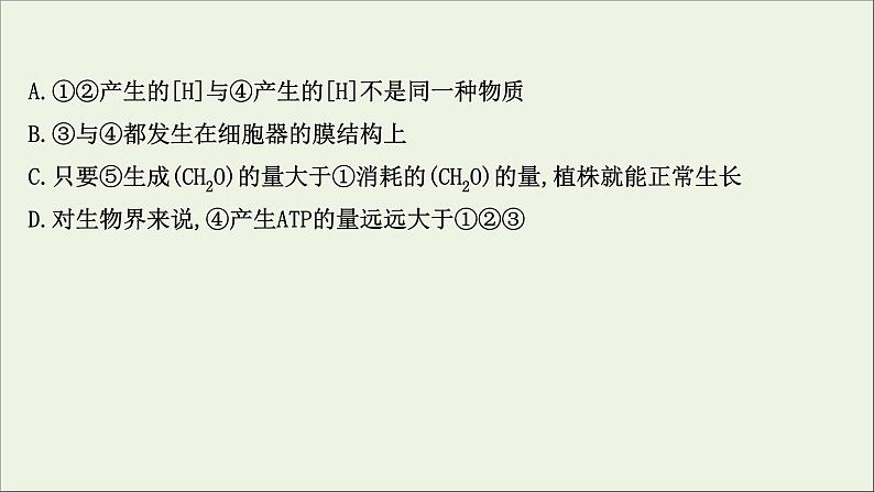 江苏专用2022版高考生物一轮复习课时作业十影响光合作用的因素及光合作用及细胞呼吸的关系课件苏教版06