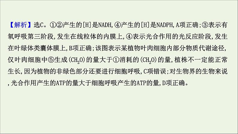 江苏专用2022版高考生物一轮复习课时作业十影响光合作用的因素及光合作用及细胞呼吸的关系课件苏教版07