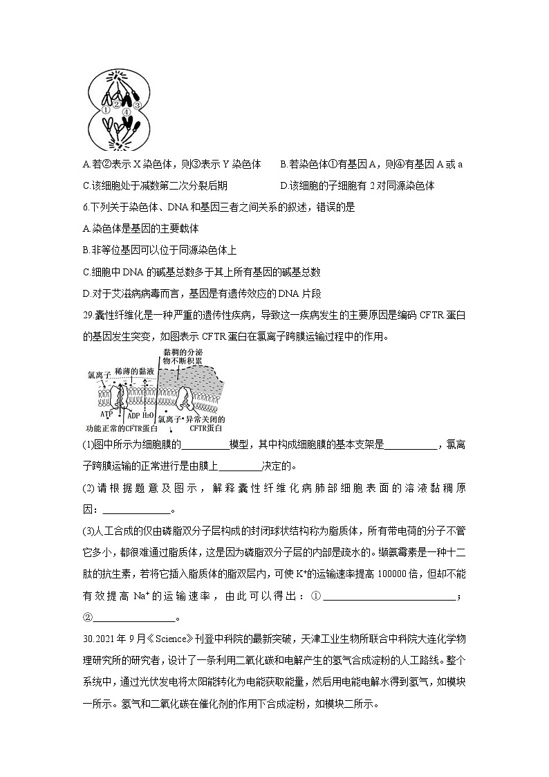 四川省成都市郫都区2022届高三上学期11月阶段性检测（二）生物含答案第2页
