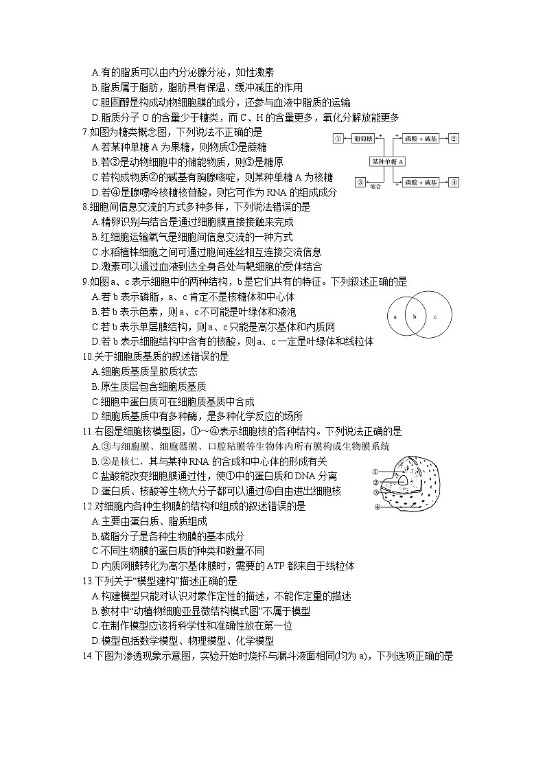 四川省绵阳市南山中学2021-2022学年高一上学期12月月考生物试题含答案02