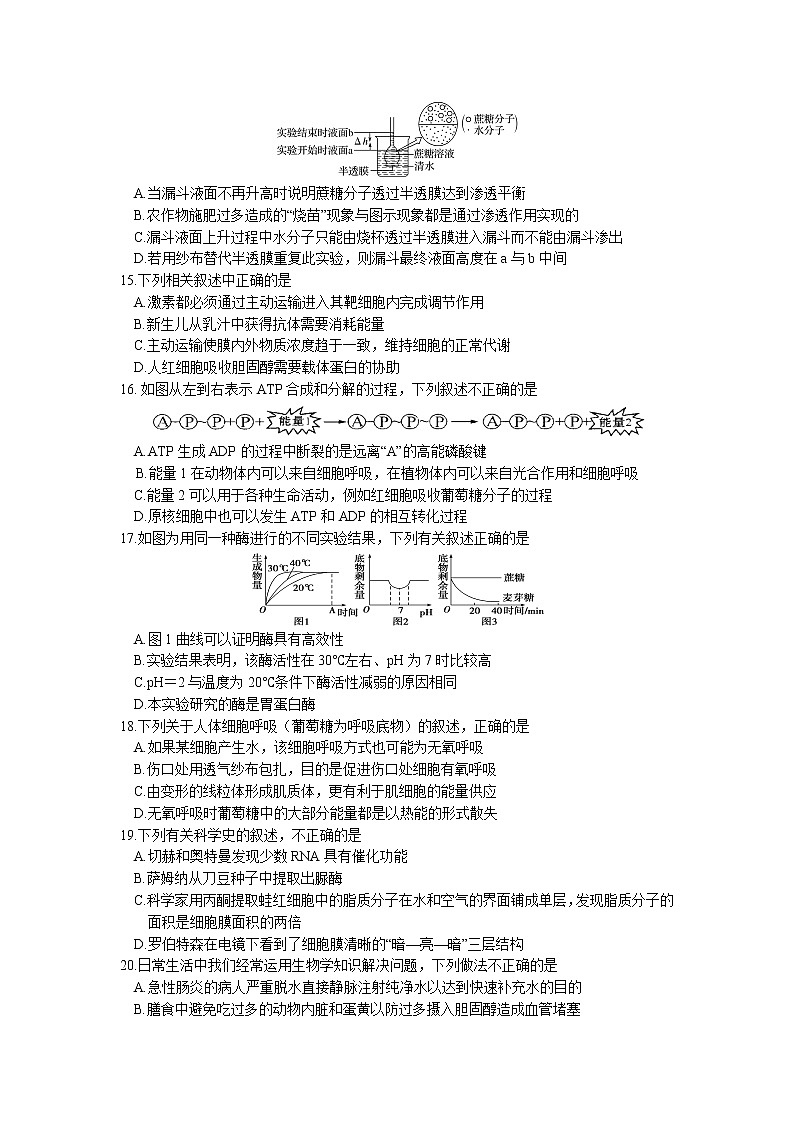 四川省绵阳市南山中学2021-2022学年高一上学期12月月考生物试题含答案03
