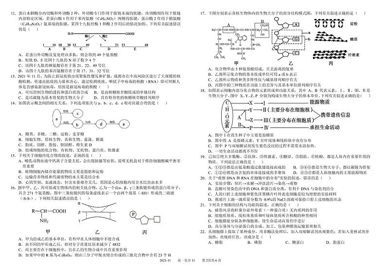 四川省成都市树德中学2021-2022学年高一上学期11月阶段性测试（期中）生物试题PDF版含答案02