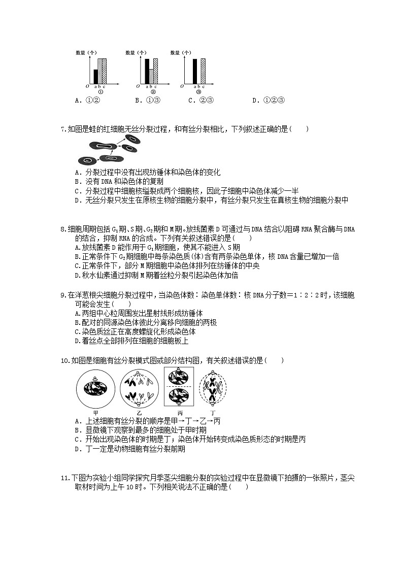 2022年高考生物一轮考点精选练习12《细胞的增殖》(含详解)第2页