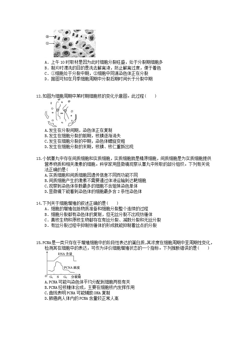 2022年高考生物一轮考点精选练习12《细胞的增殖》(含详解)第3页