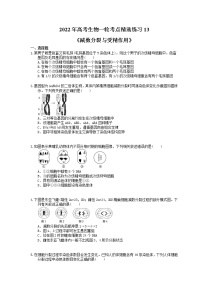 2022年高考生物一轮考点精选练习13《减数分裂与受精作用》(含详解)