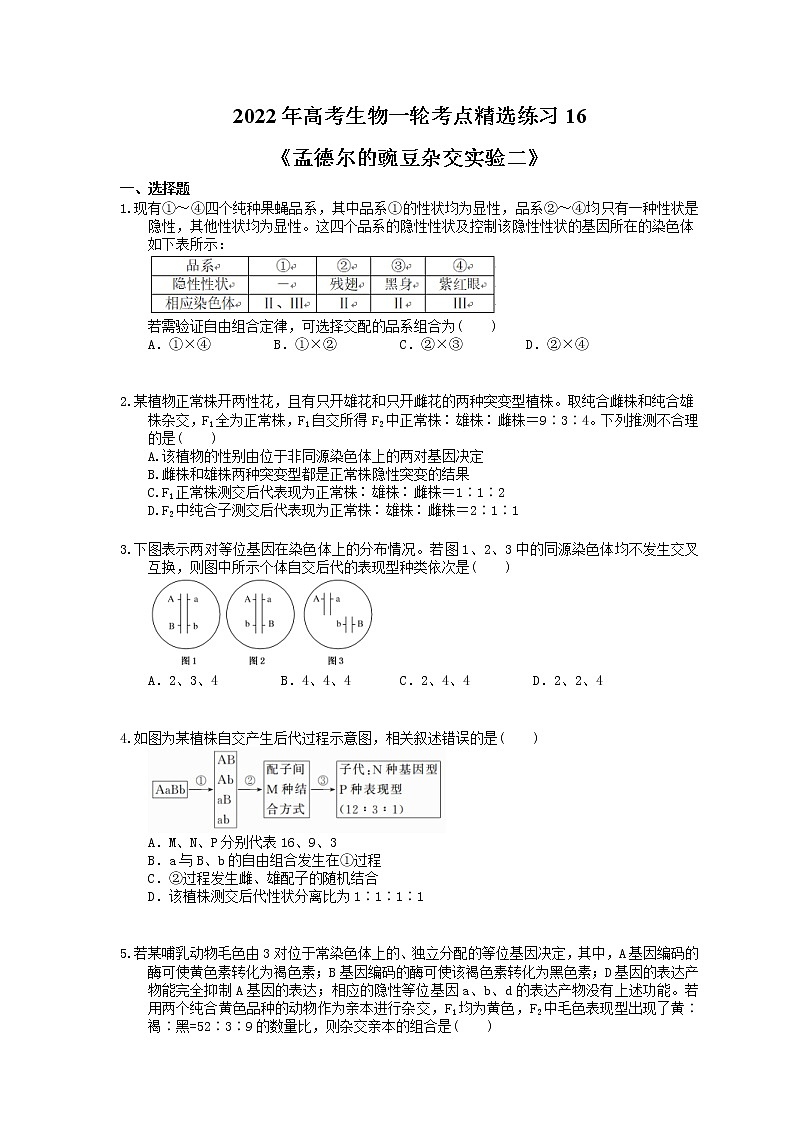 2022年高考生物一轮考点精选练习16《孟德尔的豌豆杂交实验二》(含详解)第1页