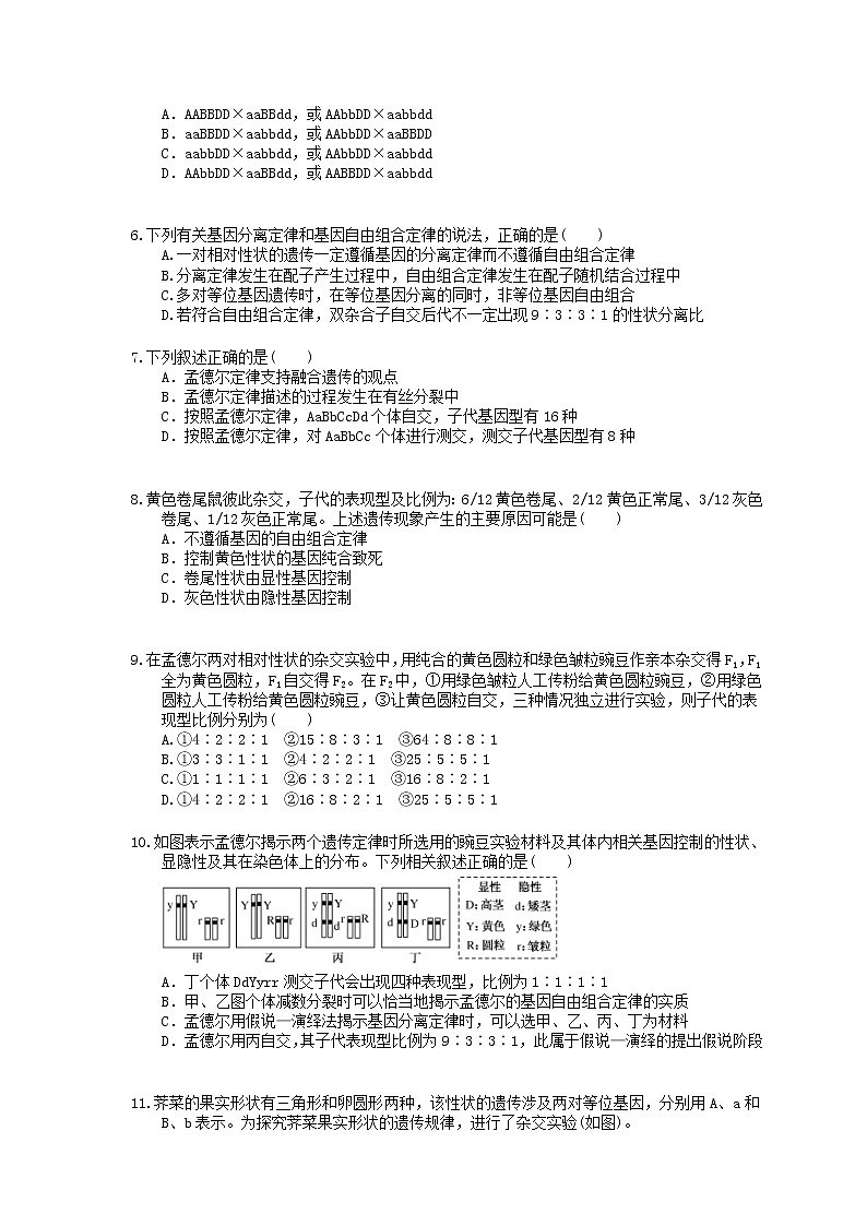 2022年高考生物一轮考点精选练习16《孟德尔的豌豆杂交实验二》(含详解)第2页