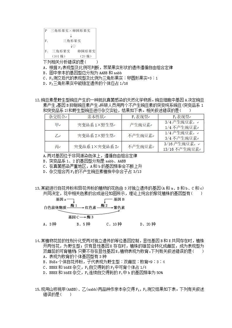 2022年高考生物一轮考点精选练习16《孟德尔的豌豆杂交实验二》(含详解)第3页