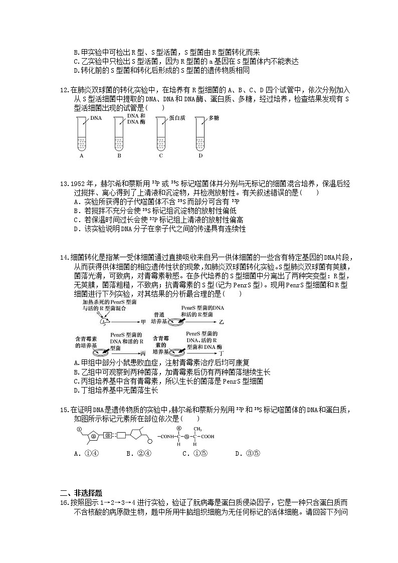 2022年高考生物一轮考点精选练习19《DNA是主要的遗传物质》(含详解)第3页