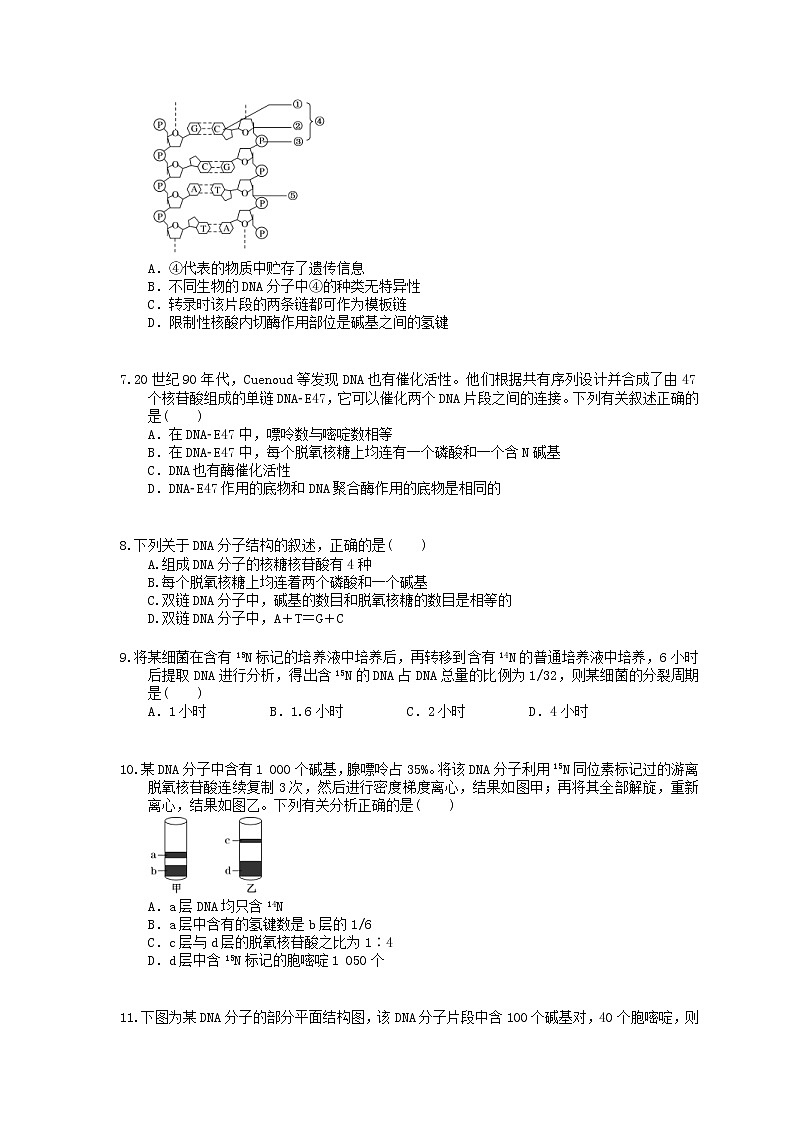 2022年高考生物一轮考点精选练习20《DNA分子的结构复制与基因的本质》(含详解)第2页