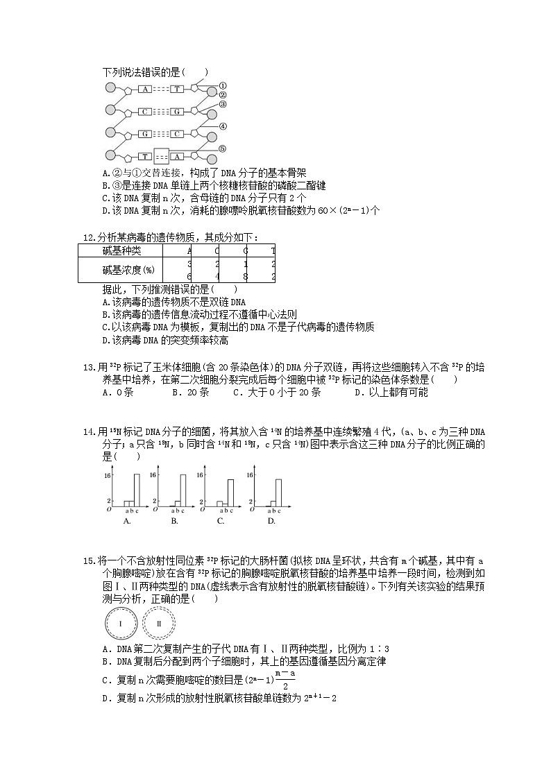2022年高考生物一轮考点精选练习20《DNA分子的结构复制与基因的本质》(含详解)第3页